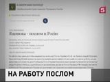 Яценюка предложили назначить послом Украины в России