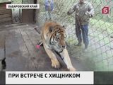 В Хабаровском крае прошёл тренинг по встрече с тигром