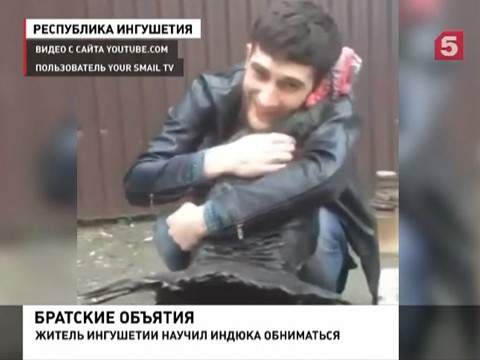 В сети и набирает популярность ролик с любвеобильным индюком