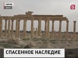 Миссия российских саперов в Пальмире полностью выполнена