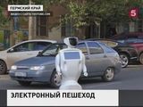 В Перми испытуемый робот ушёл  от разработчиков