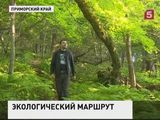 В Лазовском заповеднике Приморского края появится новый экологический маршрут