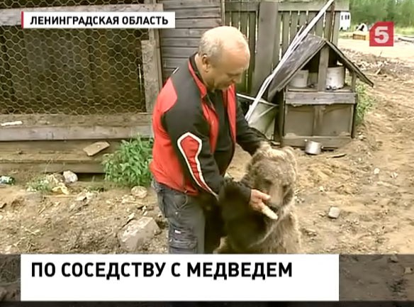 Под Петербургом живут себе Сергей да Марья. Но соседи не в восторге от такой дружбы