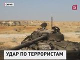 Сирийские войска уничтожили свыше 800 боевиков на юге Алеппо