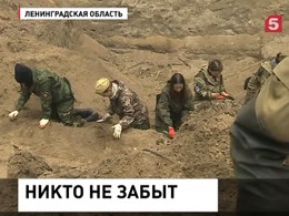 В Ленинградской области развернулась масштабная поисковая операция