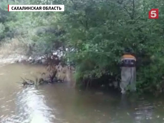 Дальний Восток во власти мощного циклона