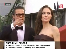 Джоли и Питт разводятся. Говорят, разлучница из Франции виновата