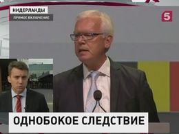 Международная комиссия огласила выводы о крушении малазийского Боинга над Донбассом