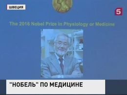 Нобелевская премия по медицине присуждена за открытие механизма аутофагии