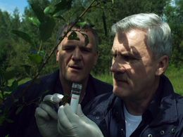 «След. Дорога из черных камней»