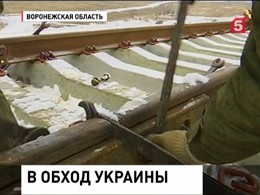 Железную дорогу в обход Украины запустят раньше срока