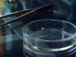 «След. Человек в лабиринте»