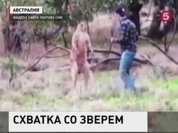 Австралиец вступил в схватку с кенгуру ради спасения своей собаки