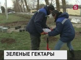 В рамках строительства Крымского моста специалисты озеленяют территории