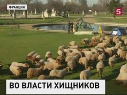 Французские фермеры устроили акцию протеста в центре Парижа