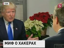 Американцы не верят в победу Трампа благодаря хакерам