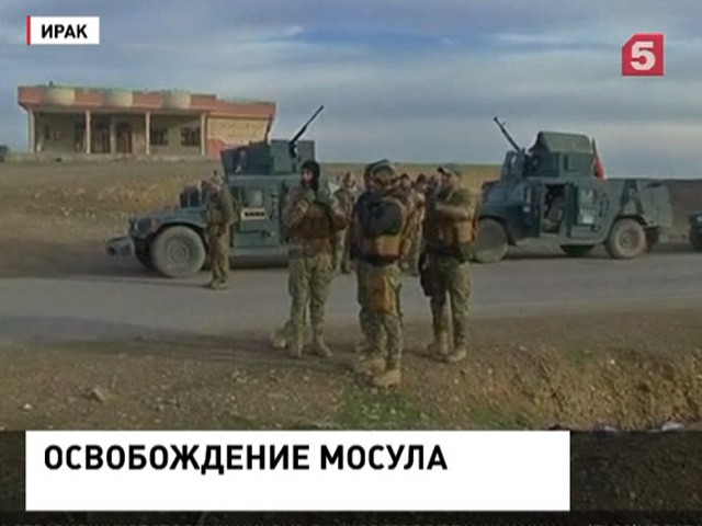 Иракские военные освободили от террористов 40 из 56 районов Мосула