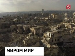 Сирийская армия приостановила активные боевые действия, боевики тоже прекращают огонь