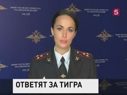 Двух жителей Приморья подозревают в убийстве амурского тигра