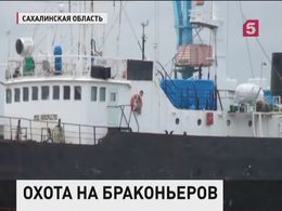 С приходом весны на Дальнем Востоке активизировались браконьеры