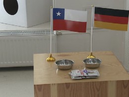 В Петербурге кот-оракул Ахилл в прямом эфире предсказывает победителя Кубка конфедераций