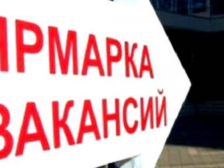 Исследования: у трети молодых безработных есть дипломы о высшем образовании Исследования: у трети молодых безработных есть дипломы о высшем образовании