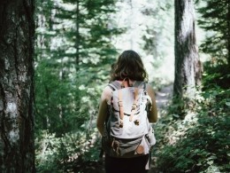 В Карелии спасатели нашли заблудившегося в лесу подростка из Петербурга