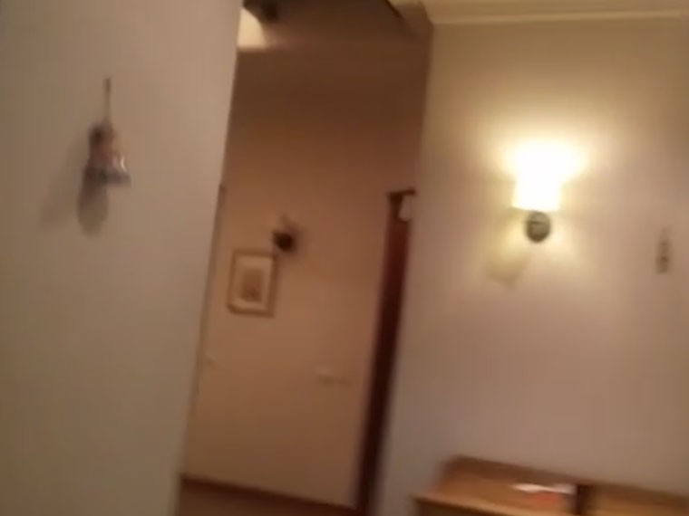 Опубликовано видео из квартиры в Подмосковье, где отец убил 13-летнюю дочь и покончил с собой