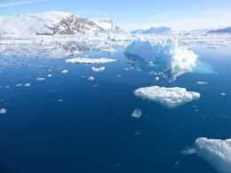 Названа причина появления гигантской полыньи в Антарктиде
