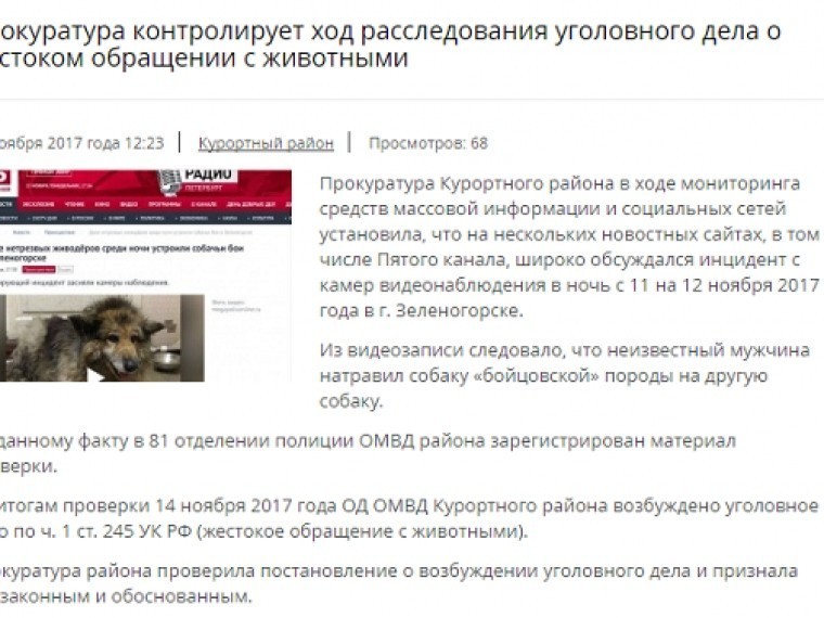 После публикации Пятым каналом материала о зеленогорских живодерах возбуждено уголовное дело После публикации Пятым каналом материала о зеленогорских живодерах возбуждено уголовное дело
