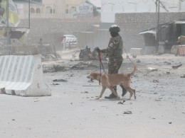 Мощный взрыв в Сомали унёс жизни 17 человек