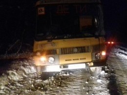 Школьный автобус столкнулся с лесовозом в Карелии — фото с места ЧП