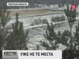 В Тверской области отчаянно борются за спасение заповедного леса