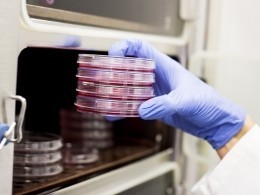 Французские ученые обнаружили самую горячую точку в теле человека