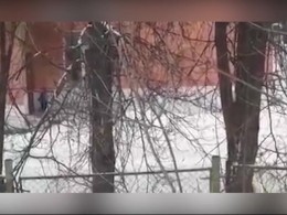 Прокуратура заинтересовалась забытым на морозе ребенком под дверью детского сада в Александрове