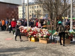 На месте «Зимней вишни» может появиться детский технопарк с мемориалом