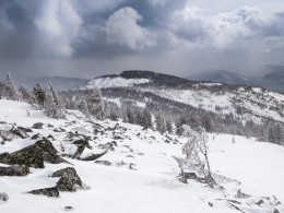 Одна из заблудившихся в метель туристок в горах под Красноярском спустилась самостоятельно
