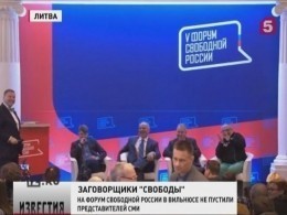 В Вильнюсе собралась несистемная оппозиция. Зачем?