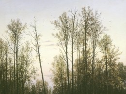Картина Шишкина «Осень» почти на сто лет стала «Лесом весной» в Подмосковье