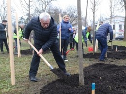 Липы губернатора Петербурга появились в Пушкине