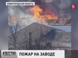 В Нижегородской области потушили крупный пожар