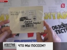 Кто обманывает российских дачников — вместо овощей всходят сорняки