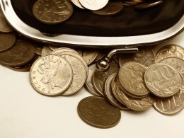 Жена главы Псковской области за год заработала всего 4 копейки