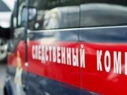 В Карелии на мальчика обвалился штабель из бревен, ребенок погиб