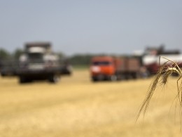 Россия может занять первое место в мире по поставкам зерна