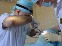 Тюменские медики удалили выросший в носу пациентки зуб