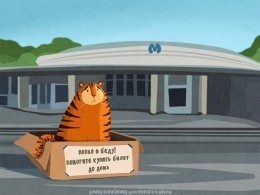 Мы в ответе за тех кого приручили?
