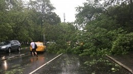 Штормовое предупреждение: в Петербург идут сильные ветры и дожди