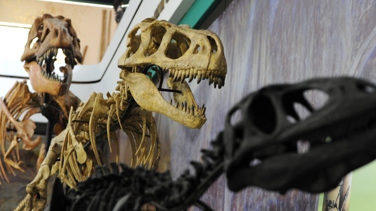 Скелет динозавра в Париже ушел «с молотка» за 2 миллиона долларов