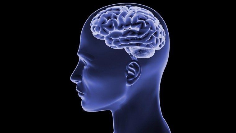 Ученые: теменная часть мозга воспринимает сверхъестественное